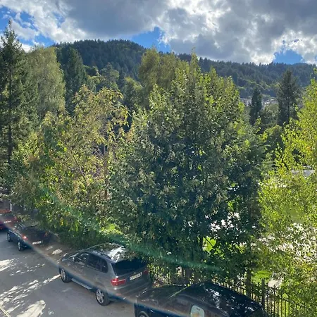 за гости Dövlen