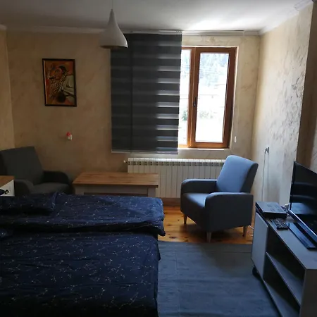 къща томови Guest house Devin