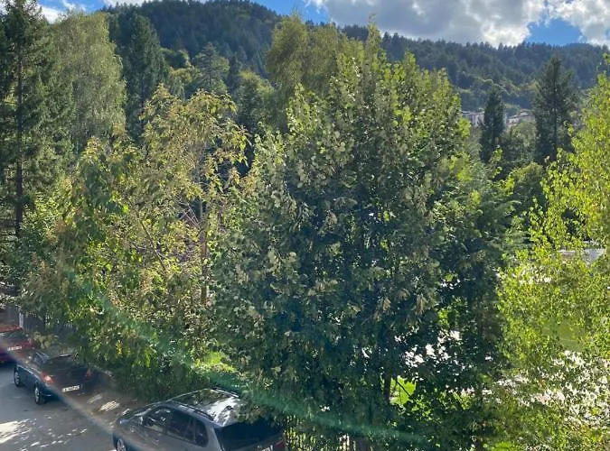 за гости Dövlen